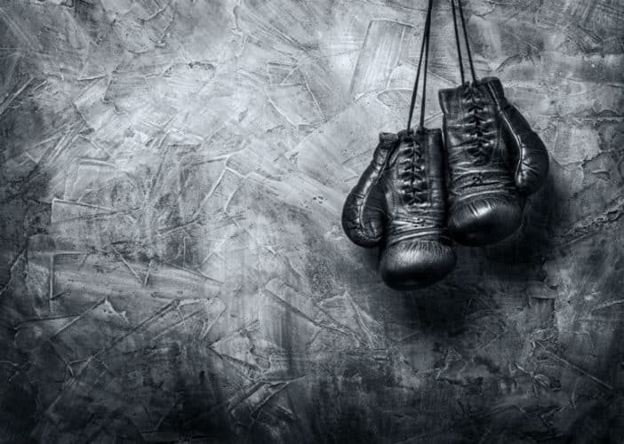 Best Boxing Gloves for Beginners