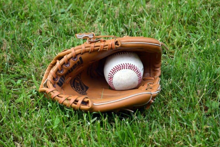 Key Parts of a Baseball Glove Sports Send