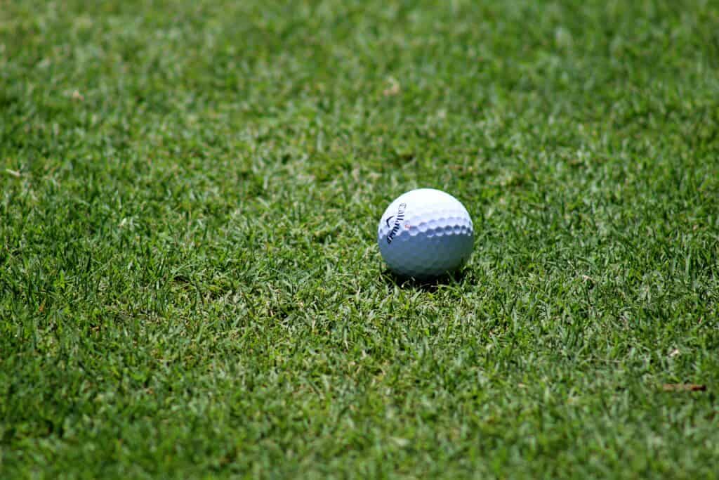 Callaway Golf ERC Soft Triple Track Golf Balls