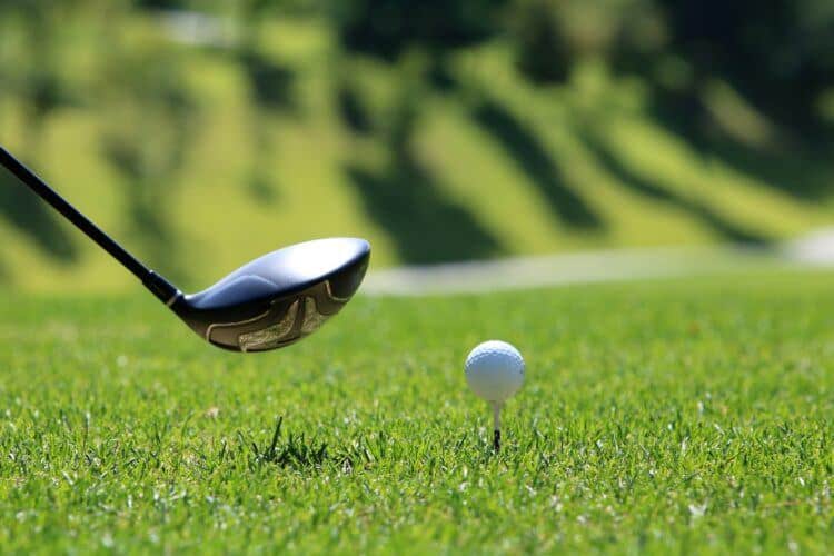 What Can the TruGolf Vista 12 Golf Simulator w E6 Connect Do for You