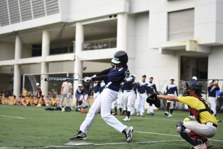 When does little league baseball season start