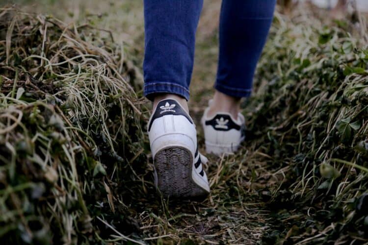 Are Training Shoes Good for Walking