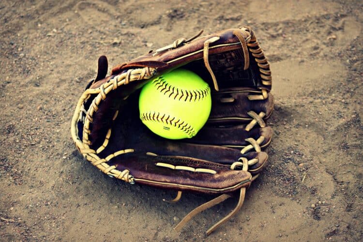 Components of a Softball Glove