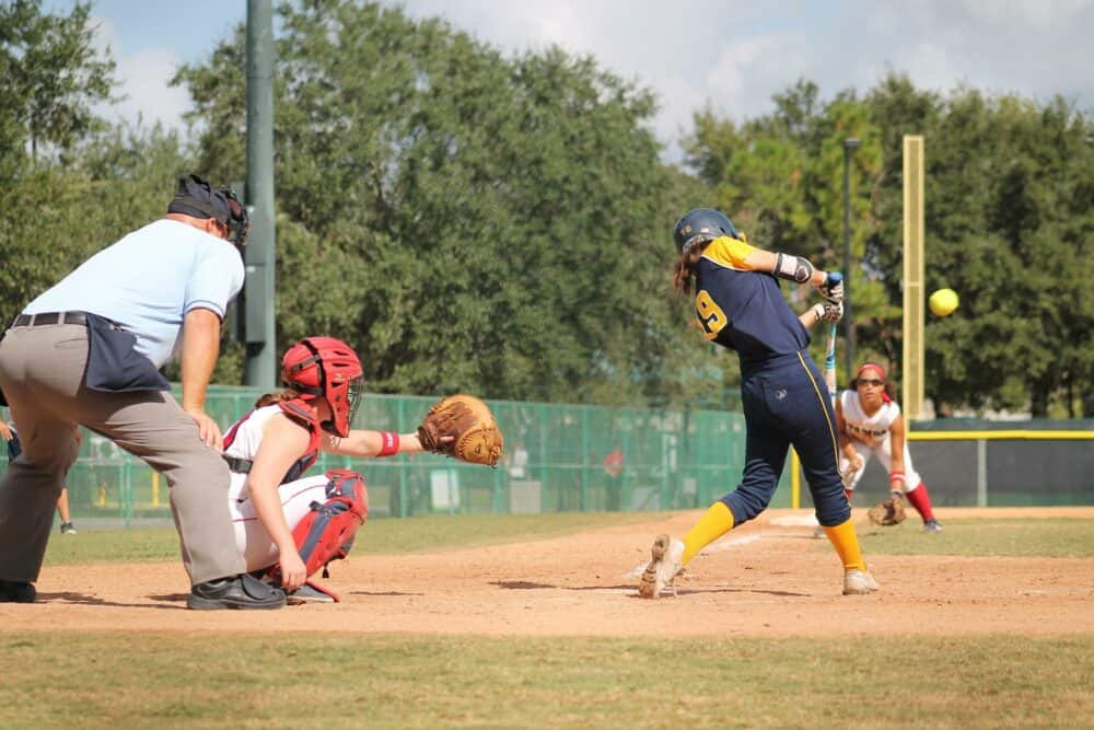 Softball Gloves Web Types